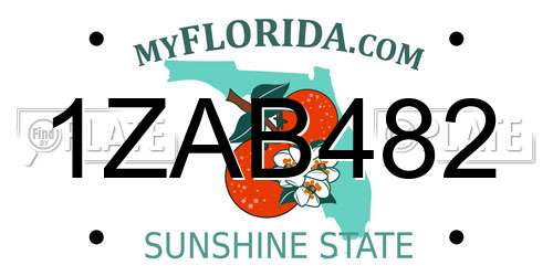 1ZAB482 Florida License Plate