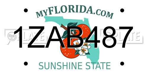1ZAB487 Florida License Plate