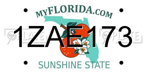 1ZAE173 Florida License Plate