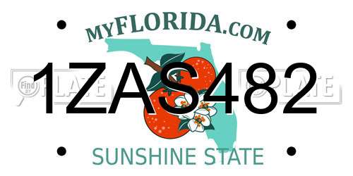 1ZAS482 Florida License Plate