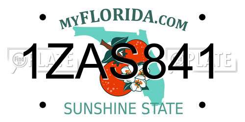 1ZAS841 Florida License Plate