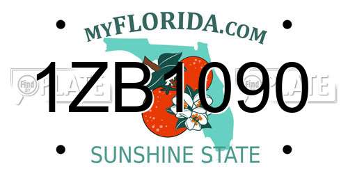 1ZB1090 Florida License Plate