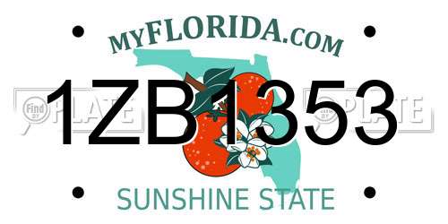 1ZB1353 Florida License Plate