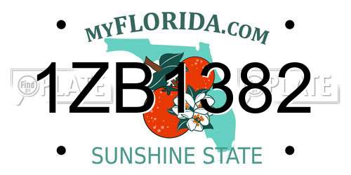 1ZB1382 Florida License Plate