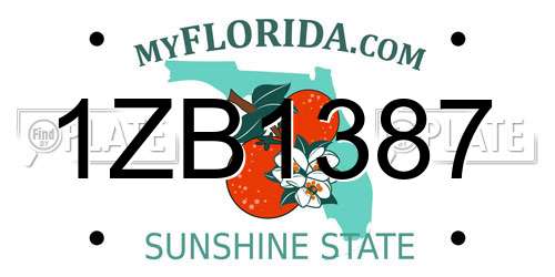 1ZB1387 Florida License Plate
