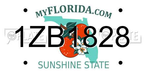 1ZB1828 Florida License Plate