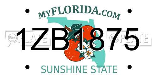1ZB1875 Florida License Plate
