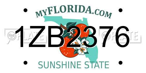1ZB2376 Florida License Plate
