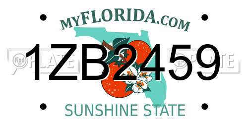 1ZB2459 Florida License Plate