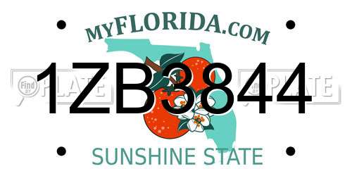 1ZB3844 Florida License Plate
