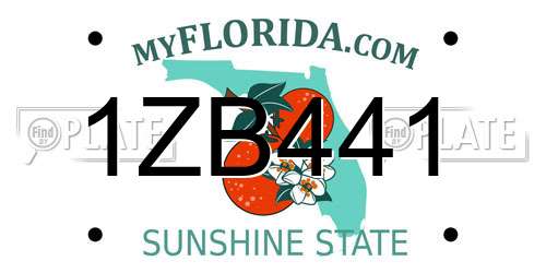1ZB441 Florida License Plate