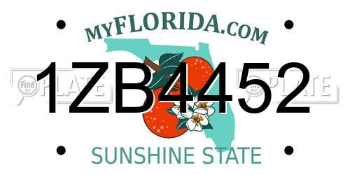 1ZB4452 Florida License Plate