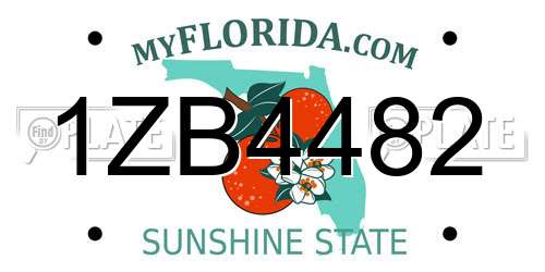 1ZB4482 Florida License Plate