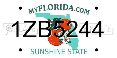 1ZB5244 Florida License Plate