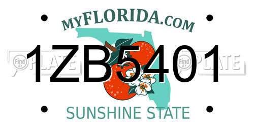 1ZB5401 Florida License Plate