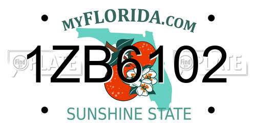 1ZB6102 Florida License Plate
