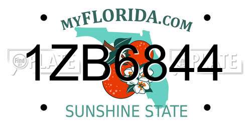 1ZB6844 Florida License Plate