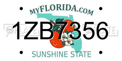 1ZB7356 Florida License Plate