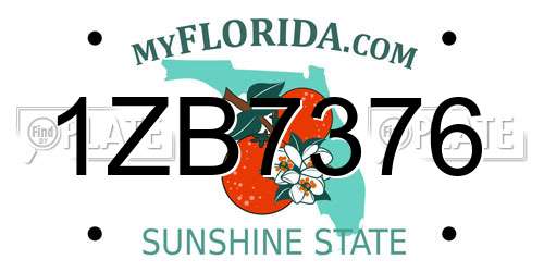 1ZB7376 Florida License Plate