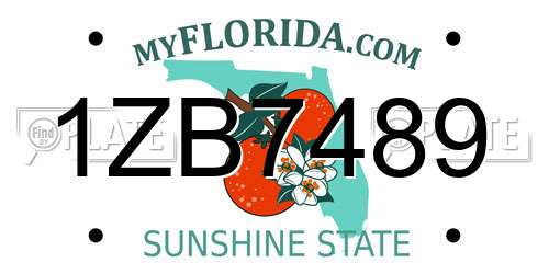 1ZB7489 Florida License Plate