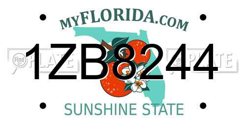 1ZB8244 Florida License Plate
