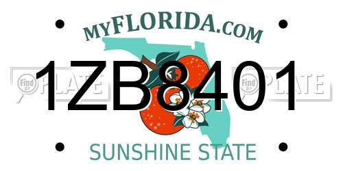 1ZB8401 Florida License Plate