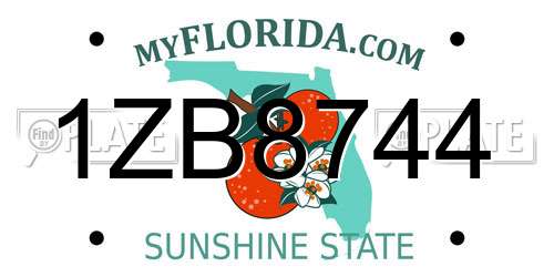 1ZB8744 Florida License Plate