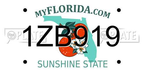 1ZB919 Florida License Plate
