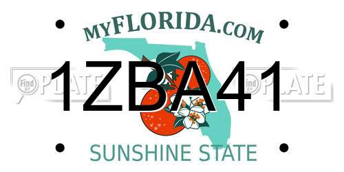 1ZBA41 Florida License Plate