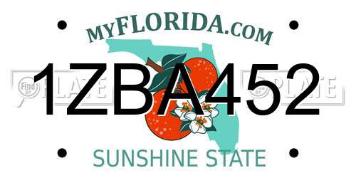 1ZBA452 Florida License Plate