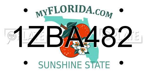 1ZBA482 Florida License Plate