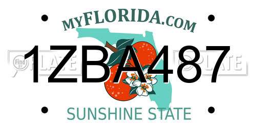 1ZBA487 Florida License Plate