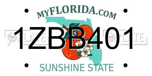 1ZBB401 Florida License Plate