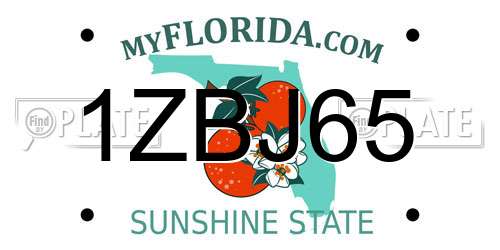 1ZBJ65 Florida License Plate