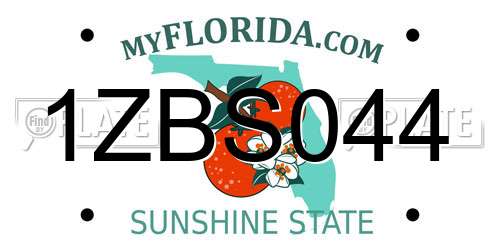1ZBS044 Florida License Plate