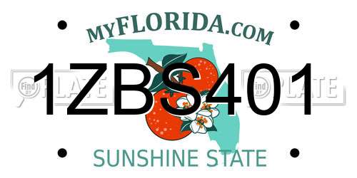 1ZBS401 Florida License Plate