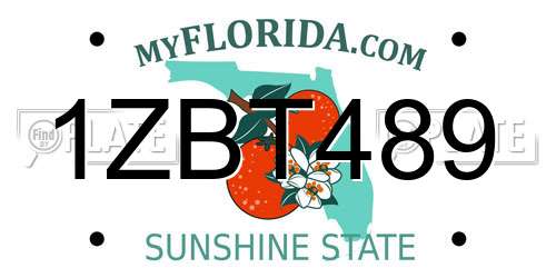 1ZBT489 Florida License Plate