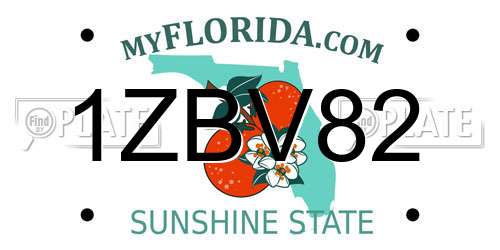 1ZBV82 Florida License Plate
