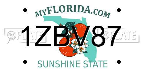 1ZBV87 Florida License Plate