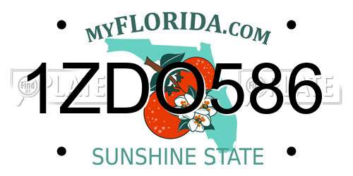 1ZDO586 Florida License Plate