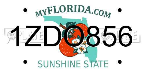 1ZDO856 Florida License Plate