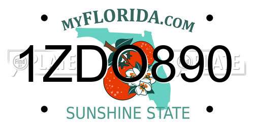 1ZDO890 Florida License Plate
