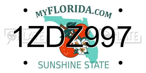 1ZDZ997 Florida License Plate