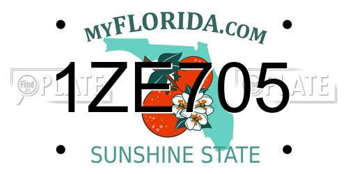 1ZE705 Florida License Plate