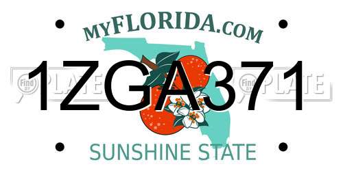 1ZGA371 Florida License Plate