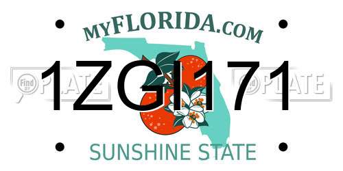 1ZGI171 Florida License Plate