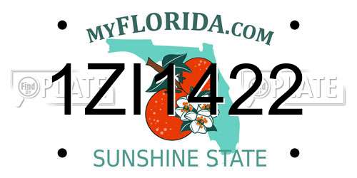 1ZI1422 Florida License Plate