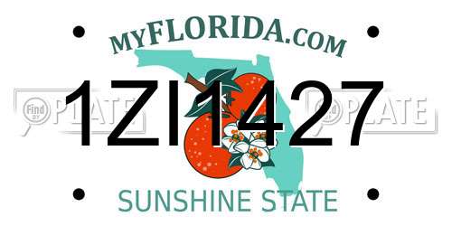 1ZI1427 Florida License Plate