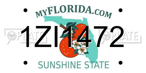 1ZI1472 Florida License Plate
