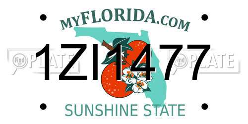 1ZI1477 Florida License Plate